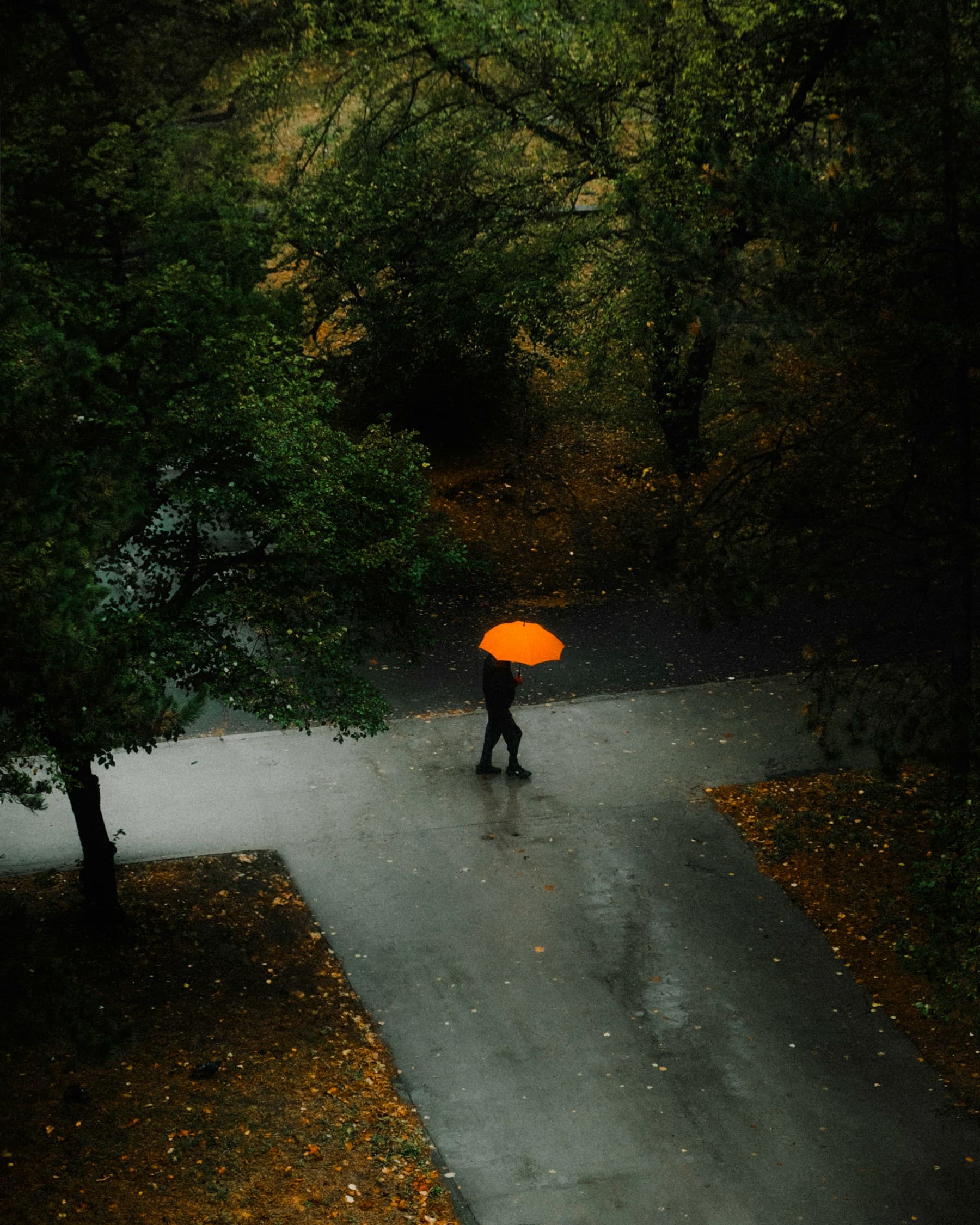 City street with one orange umbrella as the signal